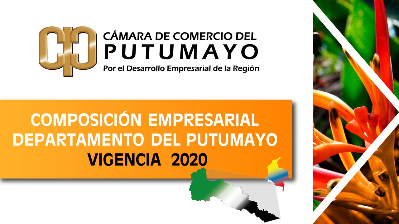 Estudio Composición Empresarial 2020