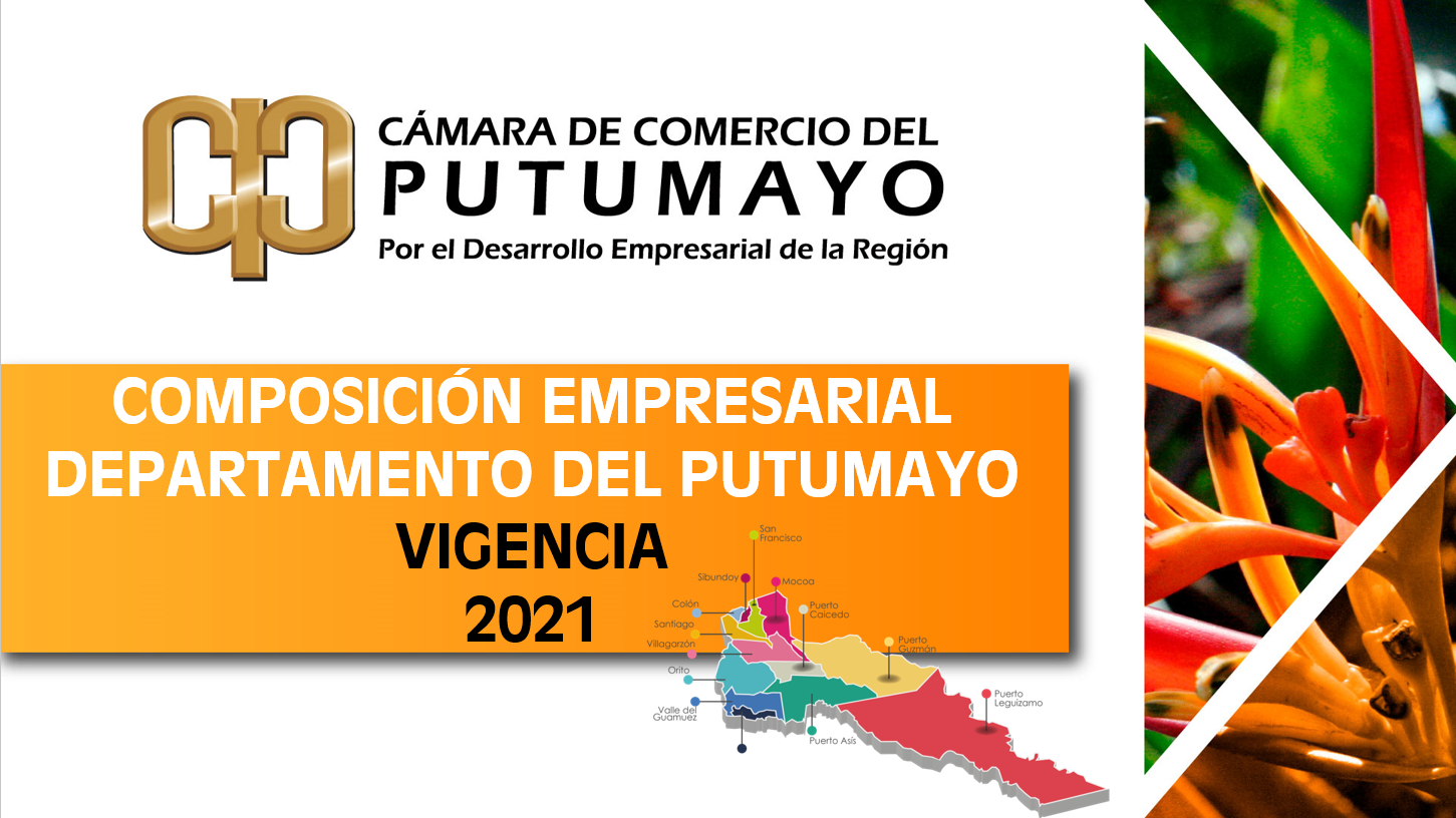 Estudio Composición Empresarial 2021 – Departamento del Putumayo