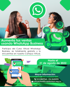 WhatsApp Business_Mesa de trabajo 1