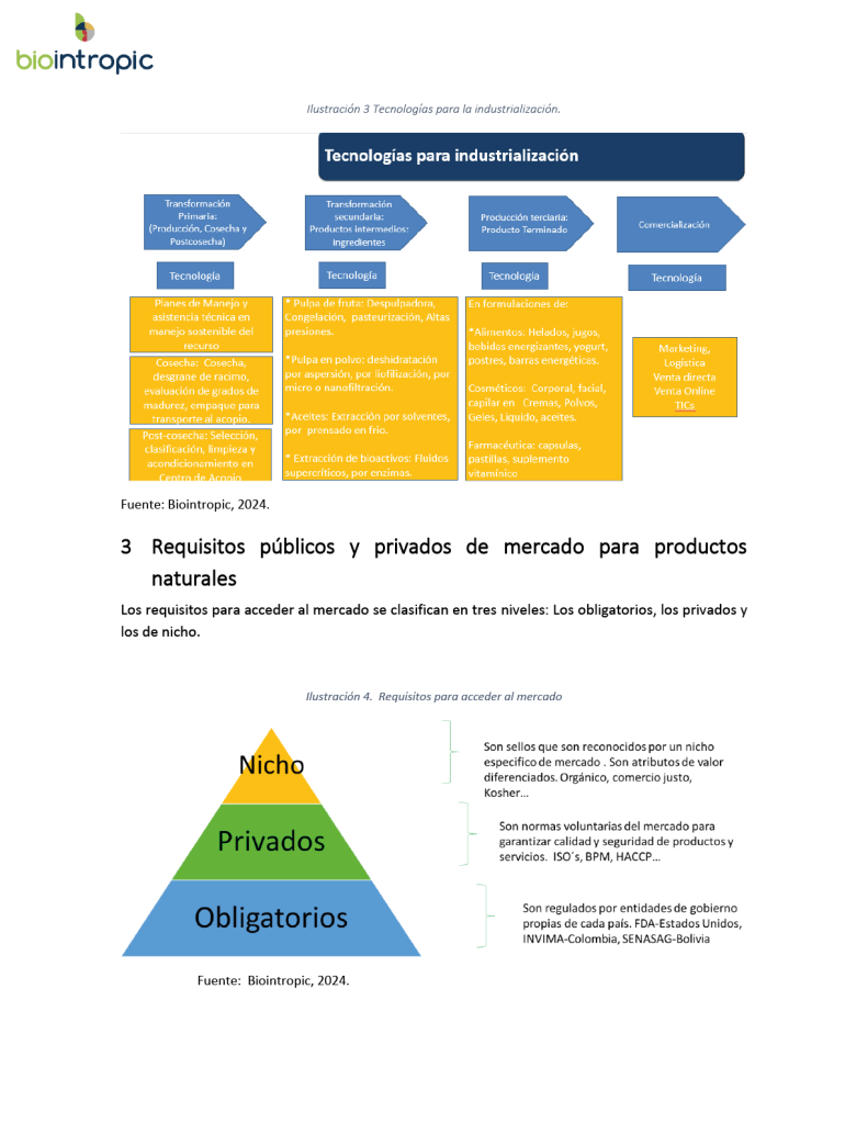 Mesa de trabajo 11@2x