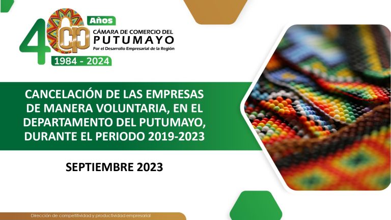 EstudioCancelaciónDeLasEmpresasDeManeraVoluntaria2023V2_page-0001