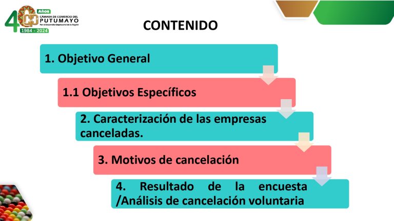 EstudioCancelaciónDeLasEmpresasDeManeraVoluntaria2023V2_page-0002