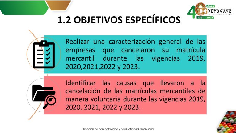 EstudioCancelaciónDeLasEmpresasDeManeraVoluntaria2023V2_page-0004