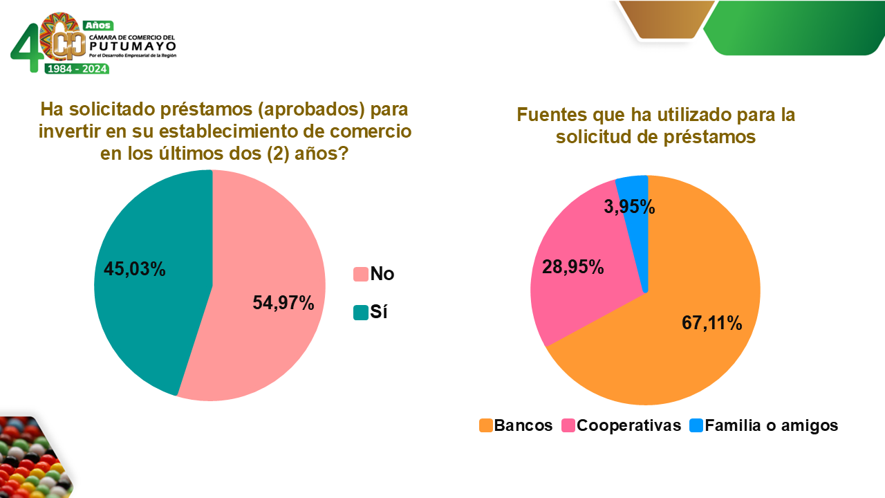 Diapositiva13