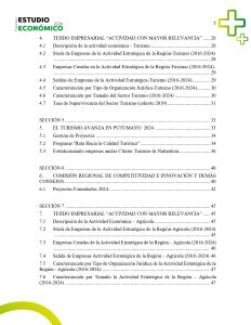 EstudioEconomicoPutumayo2024_page-0005