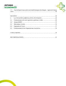 EstudioEconomicoPutumayo2024_page-0006