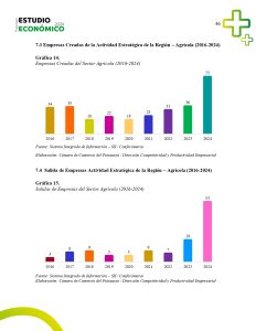 EstudioEconomicoPutumayo2024_page-0046