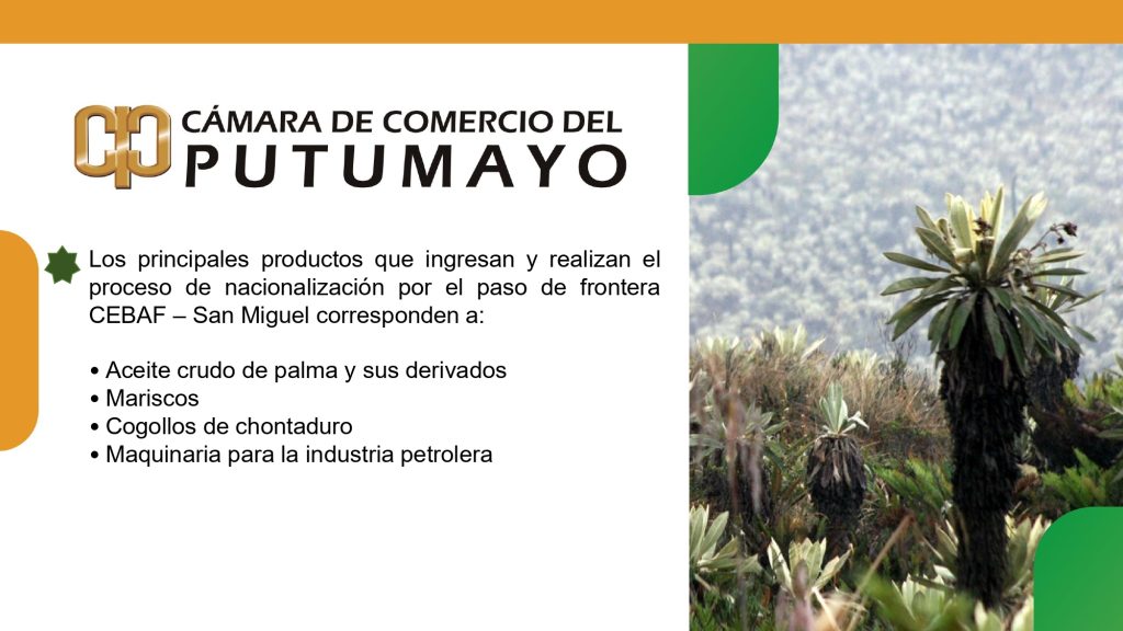 Estudio Comportamiento de la Frontera 2025_0004