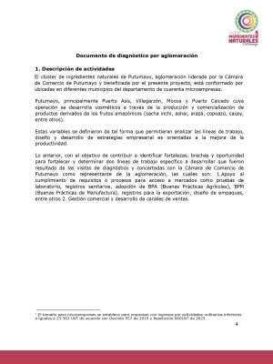 Análisis del potencial productivo de las plantas de transformación del clúster de Ingredientes Naturales_page-0003