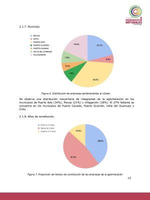 Análisis del potencial productivo de las plantas de transformación del clúster de Ingredientes Naturales_page-0009