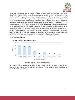 Análisis del potencial productivo de las plantas de transformación del clúster de Ingredientes Naturales_page-0015