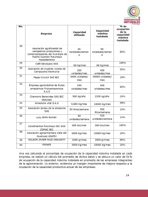 Análisis del potencial productivo de las plantas de transformación del clúster de Ingredientes Naturales_page-0023