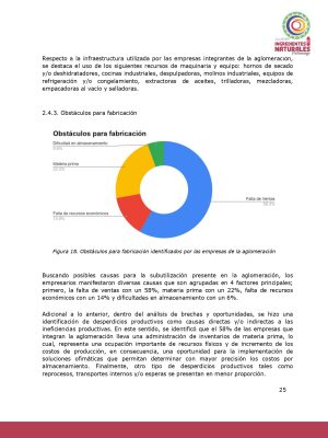 Análisis del potencial productivo de las plantas de transformación del clúster de Ingredientes Naturales_page-0024