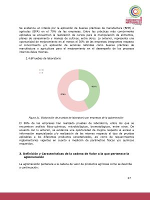 Análisis del potencial productivo de las plantas de transformación del clúster de Ingredientes Naturales_page-0026