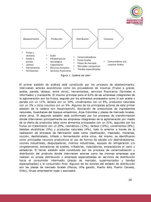 Análisis del potencial productivo de las plantas de transformación del clúster de Ingredientes Naturales_page-0027