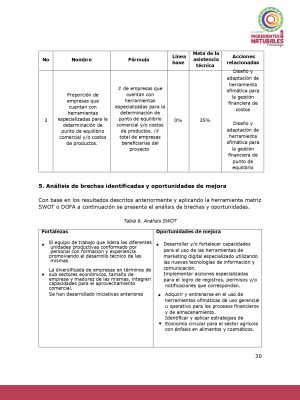 Análisis del potencial productivo de las plantas de transformación del clúster de Ingredientes Naturales_page-0029
