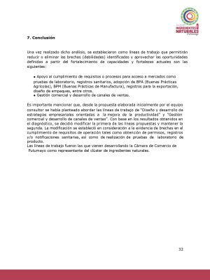 Análisis del potencial productivo de las plantas de transformación del clúster de Ingredientes Naturales_page-0031