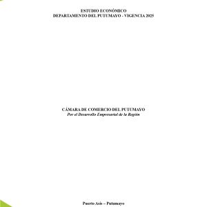 EstudioEconomicoPutumayo2025_page-0002