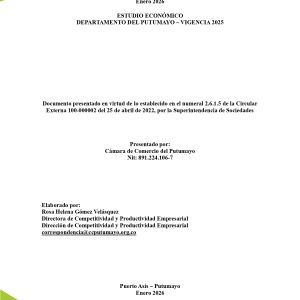 EstudioEconomicoPutumayo2025_page-0003