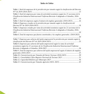 EstudioEconomicoPutumayo2025_page-0007