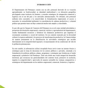 EstudioEconomicoPutumayo2025_page-0010