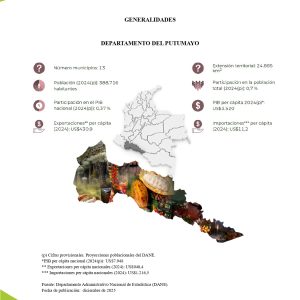 EstudioEconomicoPutumayo2025_page-0011