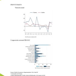 EstudioEconomicoPutumayo2025_page-0012