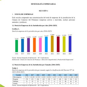 EstudioEconomicoPutumayo2025_page-0013