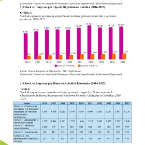 EstudioEconomicoPutumayo2025_page-0014