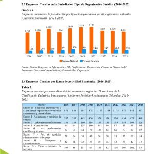 EstudioEconomicoPutumayo2025_page-0019