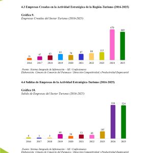 EstudioEconomicoPutumayo2025_page-0028