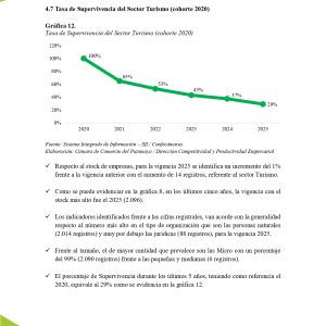 EstudioEconomicoPutumayo2025_page-0030