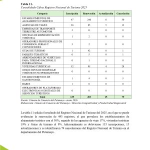 EstudioEconomicoPutumayo2025_page-0031