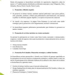 EstudioEconomicoPutumayo2025_page-0033