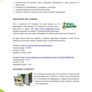 EstudioEconomicoPutumayo2025_page-0034
