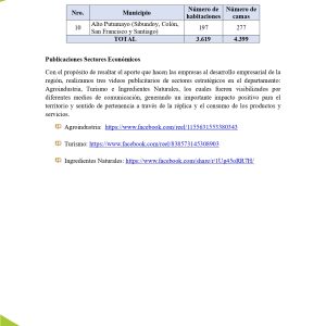 EstudioEconomicoPutumayo2025_page-0037