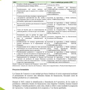 EstudioEconomicoPutumayo2025_page-0040