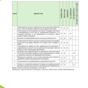 EstudioEconomicoPutumayo2025_page-0041