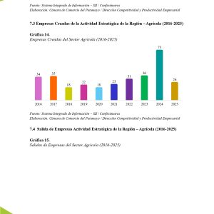 EstudioEconomicoPutumayo2025_page-0043