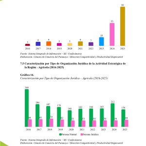 EstudioEconomicoPutumayo2025_page-0044