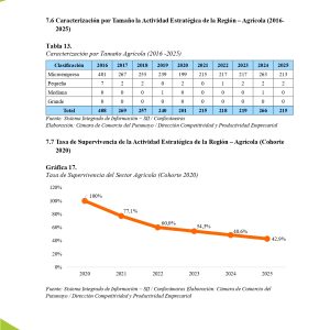 EstudioEconomicoPutumayo2025_page-0045