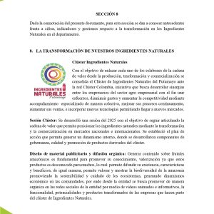 EstudioEconomicoPutumayo2025_page-0047