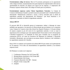 EstudioEconomicoPutumayo2025_page-0048