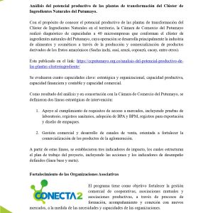 EstudioEconomicoPutumayo2025_page-0049