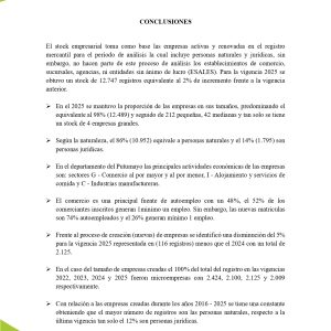 EstudioEconomicoPutumayo2025_page-0051