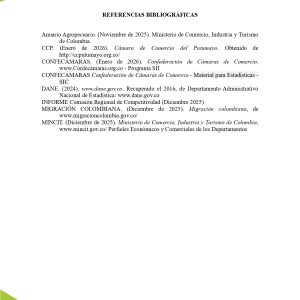 EstudioEconomicoPutumayo2025_page-0054