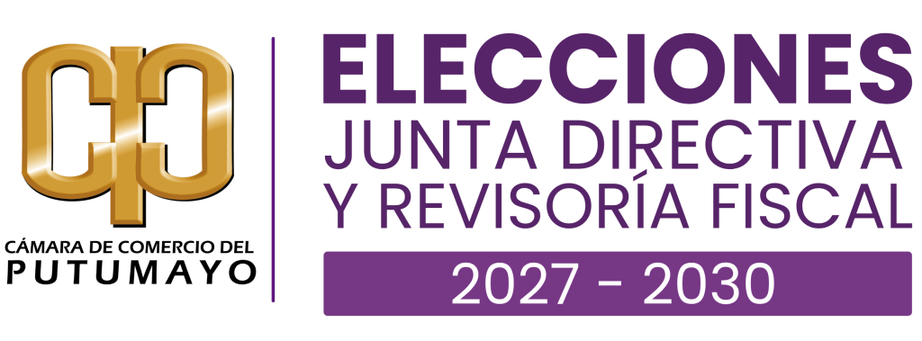 Logo Elecciones 2027-2030