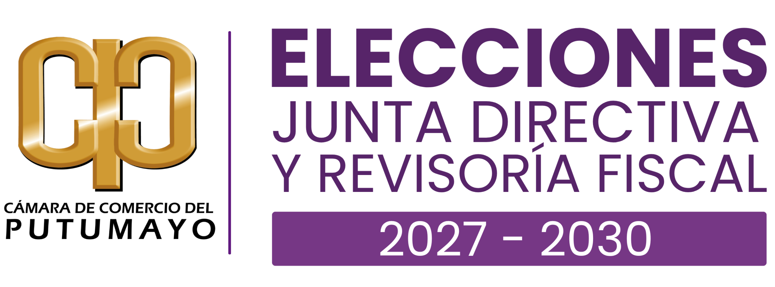 Logo Elecciones 2027-2030